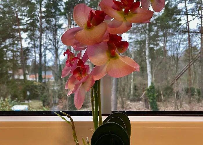 Im Gruenen דירה אורניינבורג